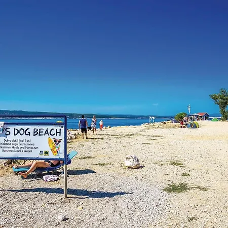 Apartman 2 Bedroom Cozy In